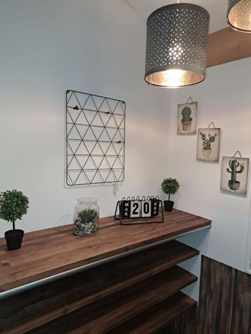 Studio Dans Maison Avec Jardin Et Balcon, Au Calme Sérézin-du-Rhône Extérieur photo