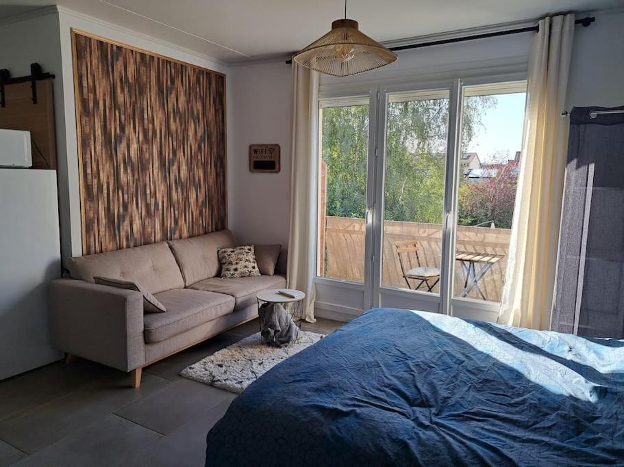 Studio Dans Maison Avec Jardin Et Balcon, Au Calme Sérézin-du-Rhône Extérieur photo
